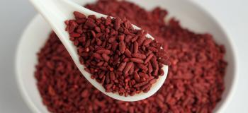 Red Rice and the Side Effects of Lovastatin