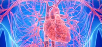How your capillaries help blood flow