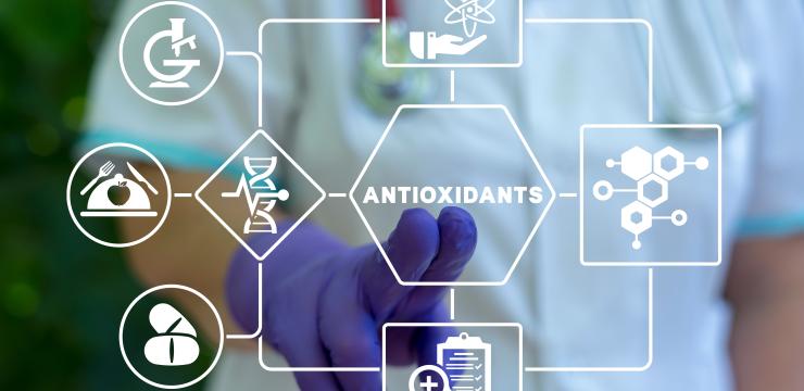 Although they don’t act like drugs, OPCs have multiple modes of action that support the body to increase its ability to “adapt under a variety of perturbations”. OPCs must be regarded as bioactives rather than just antioxidants. As bioactives OPCs assist the body in the activity we call “homeostasis”.