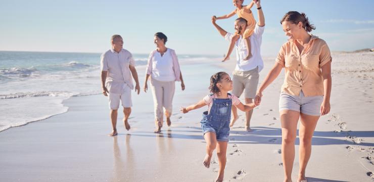 OPCs / From Healthy Aging to Healthspan OPCs scavenge free radicals before they attack the fragile architecture of the cellular membrane.