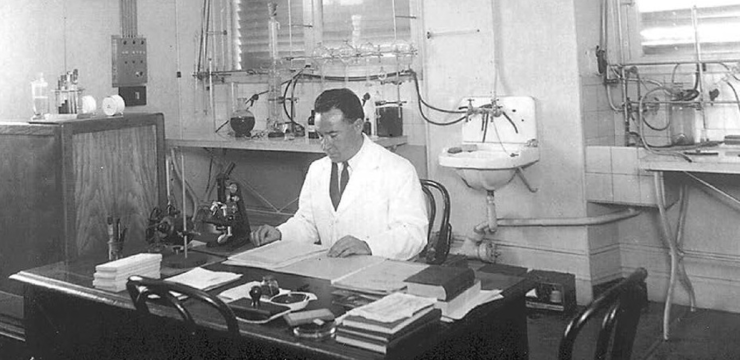 Research demonstrated that the nutritional benefits that Masquelier’s OPCs have on the human body cover a vast range of body functions. These seemingly unrelated effects rest on 4 functions of OPCs: they help produce and protect collagen; they support the circulatory system and stimulate circulation; they scavenge free radicals and regenerate vitamin C.