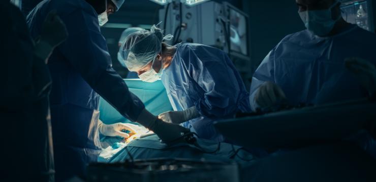 As the duration of sunlight exposure increased, survey respondents’ mental health status improved significantly. The Vitamin D winter exists for all people who, like operating room nurses, spend most of the daytime in artificial light conditions, no matter where they are located on the map.